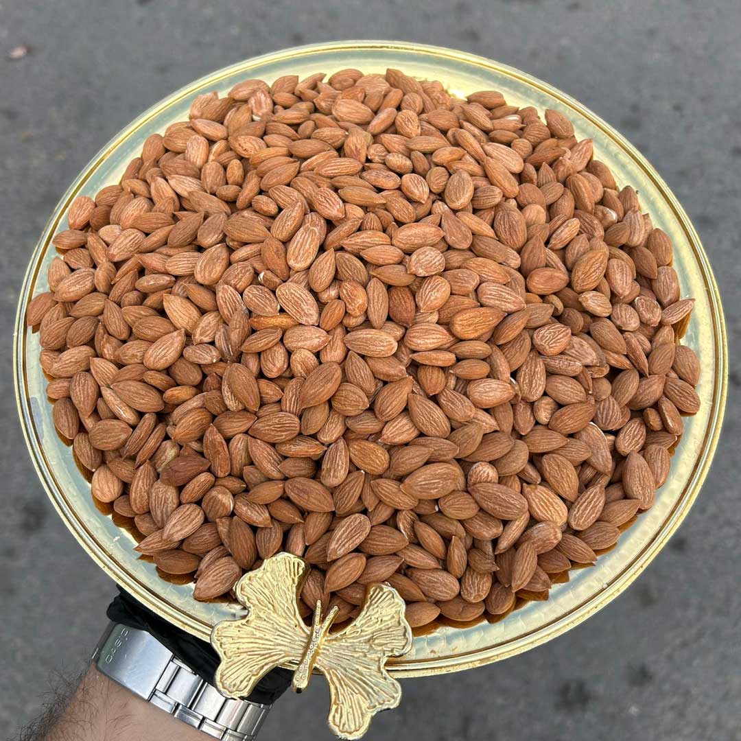 Kayısı çekirdeği 500 gr.